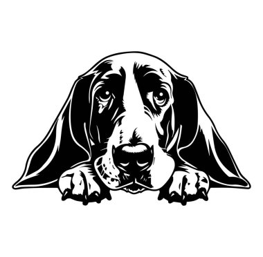 Basset Hound Dog Portresi ile Hüzünlü İfade Satır Sanatı
