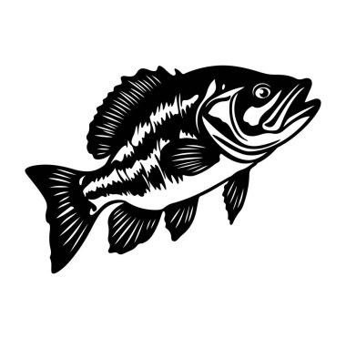 Bir Tatlı Su Balık Türünün Siyah ve Beyaz İllüstrasyonu