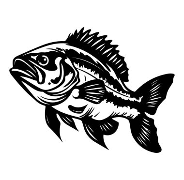 Büyük Ağızlı Bas Balığı Siyah ve Beyaz ResimleriName