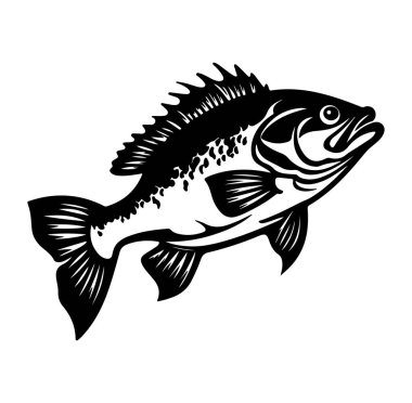 Sanatsal Tasarımlar için Siyah ve Beyaz Bas Balığı İllüstrasyonu