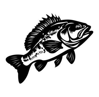 Açık Hava ve Macera Temaları için Black Bass Balık İllüstrasyonu