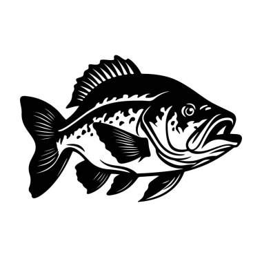 Bir Tatlı Su Balığının Siyah ve Beyaz Çizimi