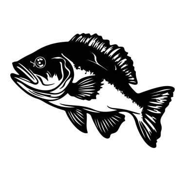 Ayrıntılı Fin ve Ölçek Tasarımı ile Siyah Bas Silueti