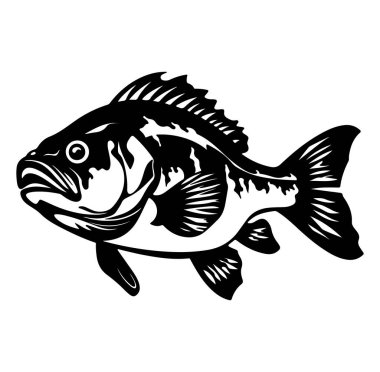 Siyah ve Beyaz Yüzen Bas Balığı Fotoğrafı