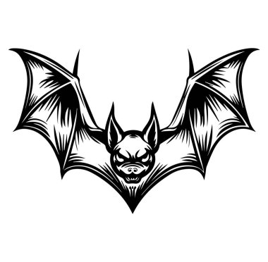 Kanatları Geniş Açılmış Detaylı Kara Yarasa Çizimi