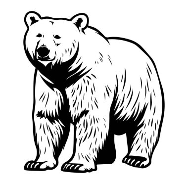 Kalın Siyah ve Beyaz Biçimli Görkemli Ayı Resimleri