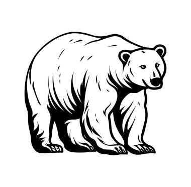 Bir Kutup Ayısının Detaylı Siyah ve Beyaz ResmiComment