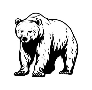 Siyah Görüntü Biçiminde Beyaz Ayı Grafik Çizimi