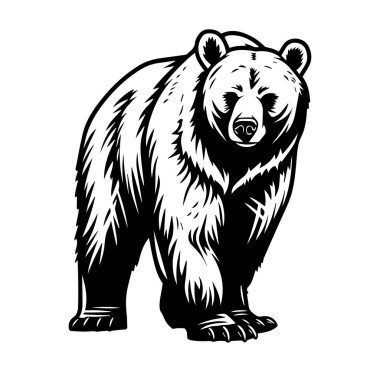 Siyah ve Beyaz Biçimli Ayrıntılı Ayı Resimleri