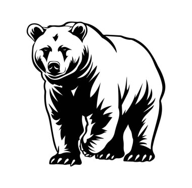 Görkemli Ayı Siyah-Beyaz Resimde Yürüyor