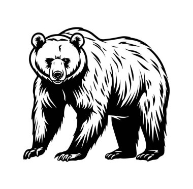 Siyah ve Beyaz Giyen Cesur Boz Ayı 'nın Ayrıntılı Resimleri