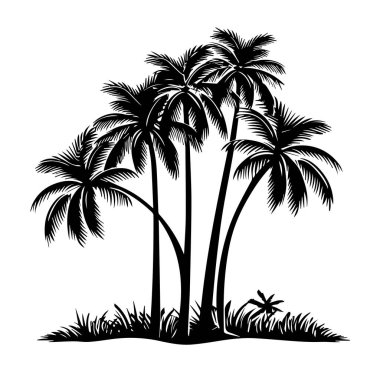 Beyaz Arkaplanda Tropikal Palmiye Ağaçlarının Silueti