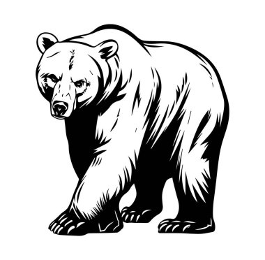 Çarpıcı Siyah ve Beyaz Tarzlı Cesur Ayı Ayakta Duruyor