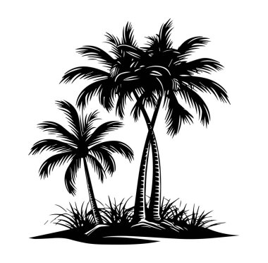 Beyaz Arkaplan Karşısında Tropik Palmiye Ağaçları Silueti
