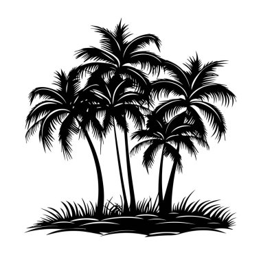 Beyaz Arkaplan Karşısında Tropikal Palmiye Ağaçlarının Silueti