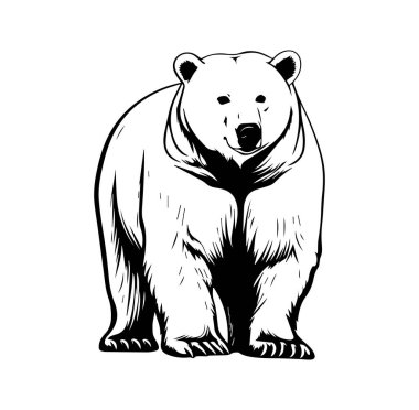 Monokrom 'da Ayakta Duran Kutup Ayısı Ayrıntılı Görünümü