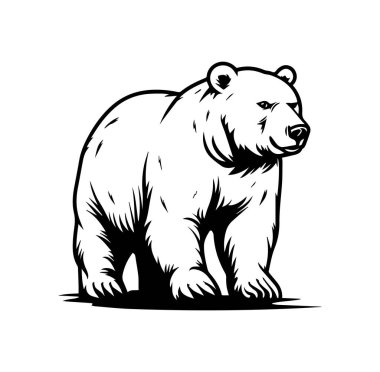 Siyah ve Beyaz Biçimli Bir Ayının Ayrıntılı Resimleri