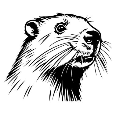 Playful River Susamuru Başlığının Detaylı ResmiComment