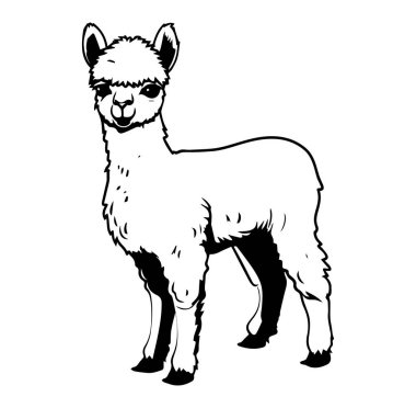 Sevimli Alpaka Karakterinin Büyüleyici Çizgi Filmi