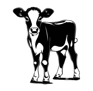 Özel Desenli Siyah ve Beyaz Baldır Tasarımı