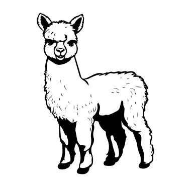 Siyah ve Beyaz Biçimli Şirin Çizgi Film Alpaka Çizimi