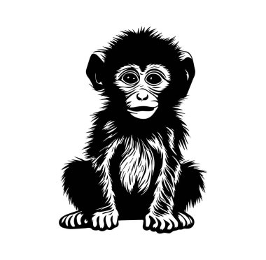 Oturan Bebek Maymunun Şirin Siyah ve Beyaz Çizimi