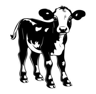 Siyah ve Beyaz İnek İllüstrasyonu Eski Biçimli
