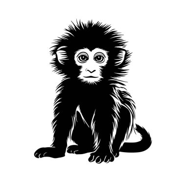 Yumuşak Kürklü Şirin Çizgi Maymun Silueti