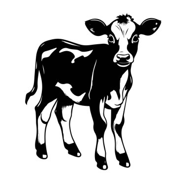 Ayakta Duran Süt Dana 'nın Siyah ve Beyaz Fotoğrafı