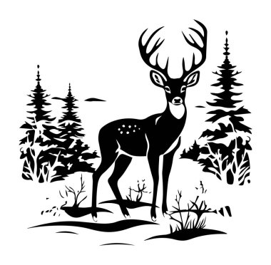 Görkemli Geyik Siyah Siluette Çam Ağaçlarının Arasında Duruyor