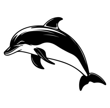 Okyanus Sularında Zarif Yunus Silueti Yüzüyor