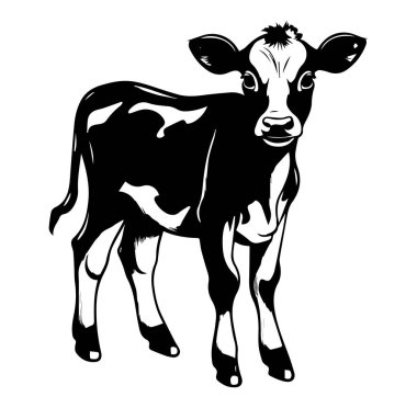 Siyah ve Beyaz Biçimli Şirin Çizgi Film İnek Çizimi