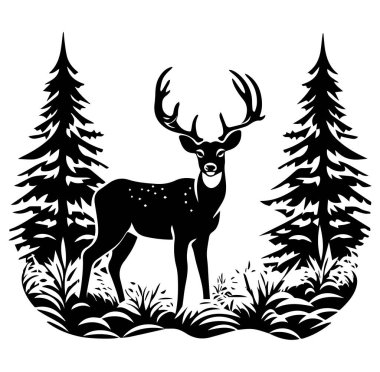 Doğadaki Evergreen Ağaçları Arasındaki Görkemli Geyik Silueti