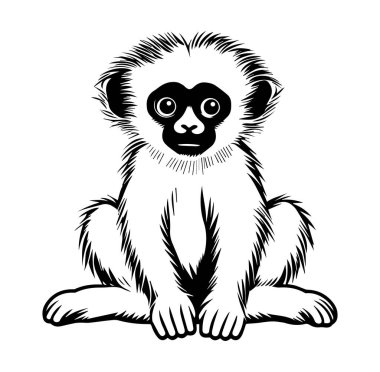 Oturan bir maymunun zarif siyah beyaz tasviri