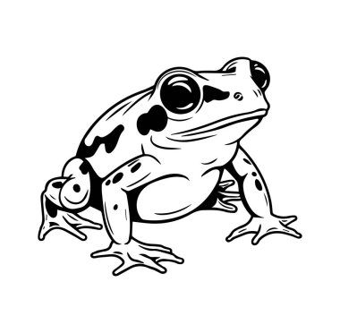 Gerçekçi Bir Kurbağa Tasarımının Siyah ve Beyaz Çizimi