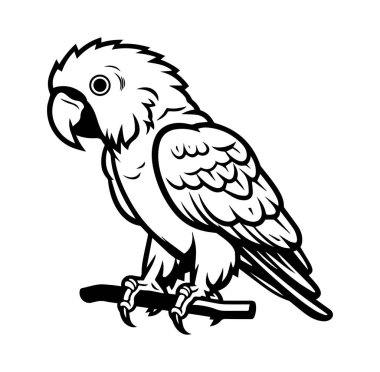 Bir daldaki papağanın siyah ve beyaz çizimi