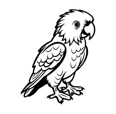 Şekil Değiştirilmiş Bir Papağanın Zarif Siyah ve Beyaz Fotoğrafı