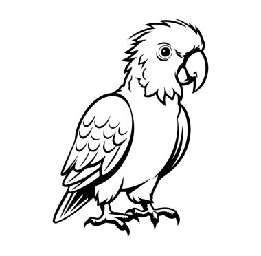 Basit Tasarımda Siyah ve Beyaz Bir Papağan Tasarımı