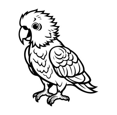 Bir Papağan Kuşu 'nun Ayrıntılı Siyah ve Beyaz Fotoğrafı