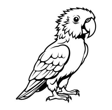 Monokrom Çizgisi Sanat Biçiminde Zarif Papağan İllüstrasyonu