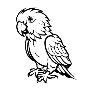 Bir Papağan Kuşu 'nun Ayrıntılı Siyah ve Beyaz Fotoğrafı