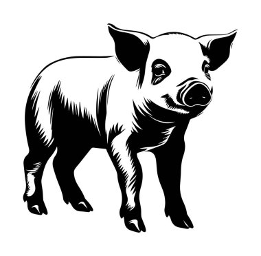 Çiftlik Teması için Profil Çiziminde Şirin Domuz Duruşu