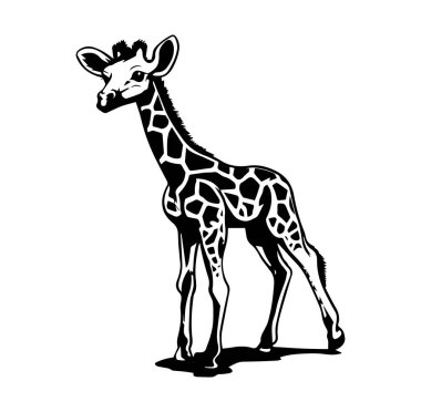 Monokrom Sanat Tasarımı dalında zarif zürafa