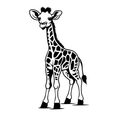 Eşsiz Desenli Siyah ve Beyaz Zürafa Resimleri