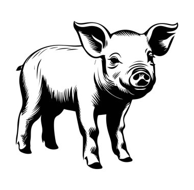 Şirin Domuzcuk Vintage Stili Çiziminde Gururla Duruyor