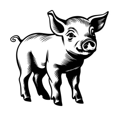 Siyah ve Beyaz Biçimli Sevimli Domuzcuk Çizimi