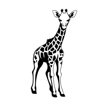Siyah ve Beyaz Zürafa Hayvanlar İçin Resimler