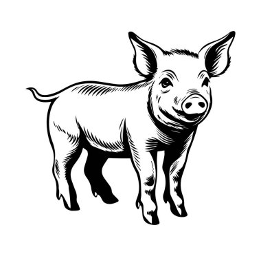 Siyah ve Beyaz Biçimli Dört Ayaklı Şirin Domuz