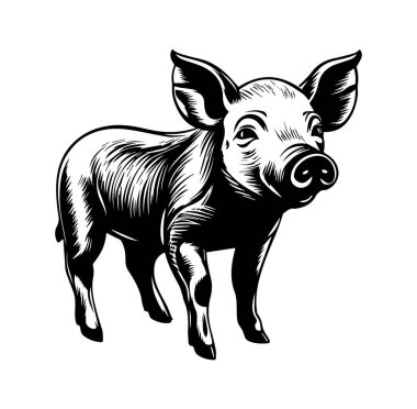 Siyah ve Beyaz Biçimli Sevimli Domuzcuk Çizimi