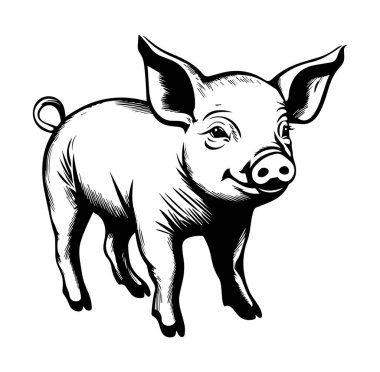 Siyah ve Beyaz Biçimli Şirin Domuzcuk Çizimi